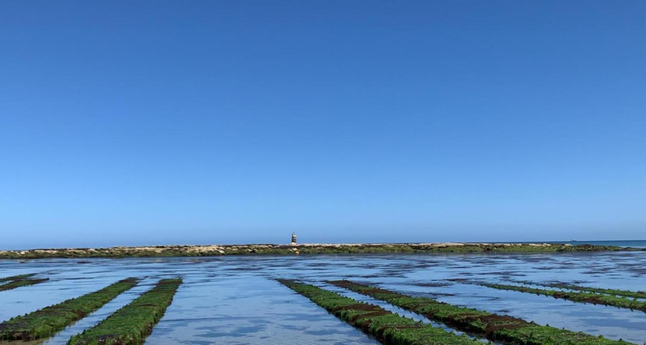Les Cormorans Villa Saint-Vaast-la-Hougue Bagian luar foto